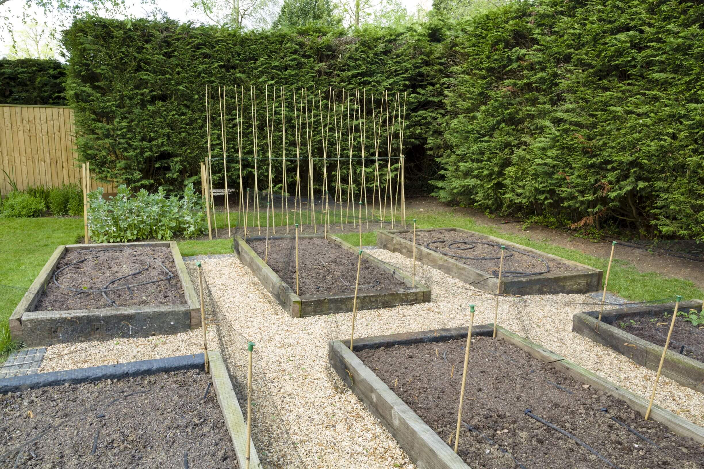 Planning A Vegetable Garden, Are Treated Pine Sleepers Ok For Vegetable Gardens