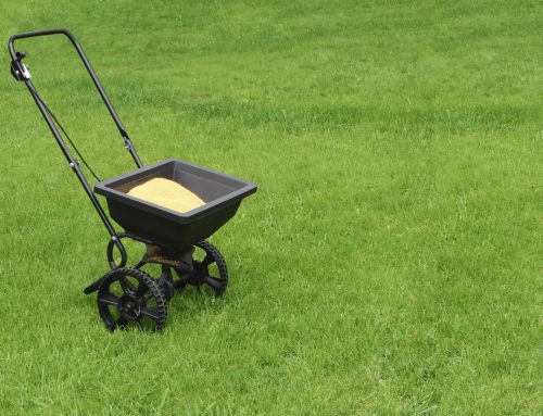 Prepping your lawn for Entertainment