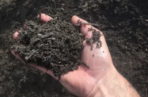 Tips & Benefits to Compost