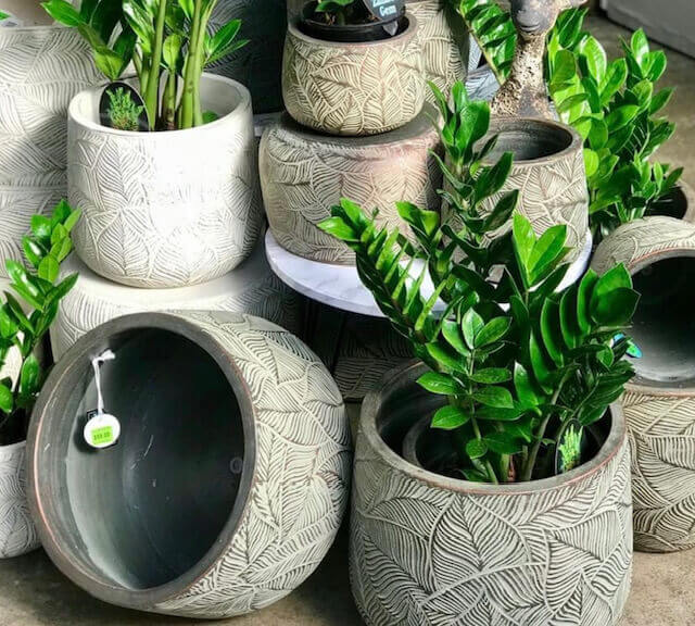 Seasons Tub flower pot at kennedys c