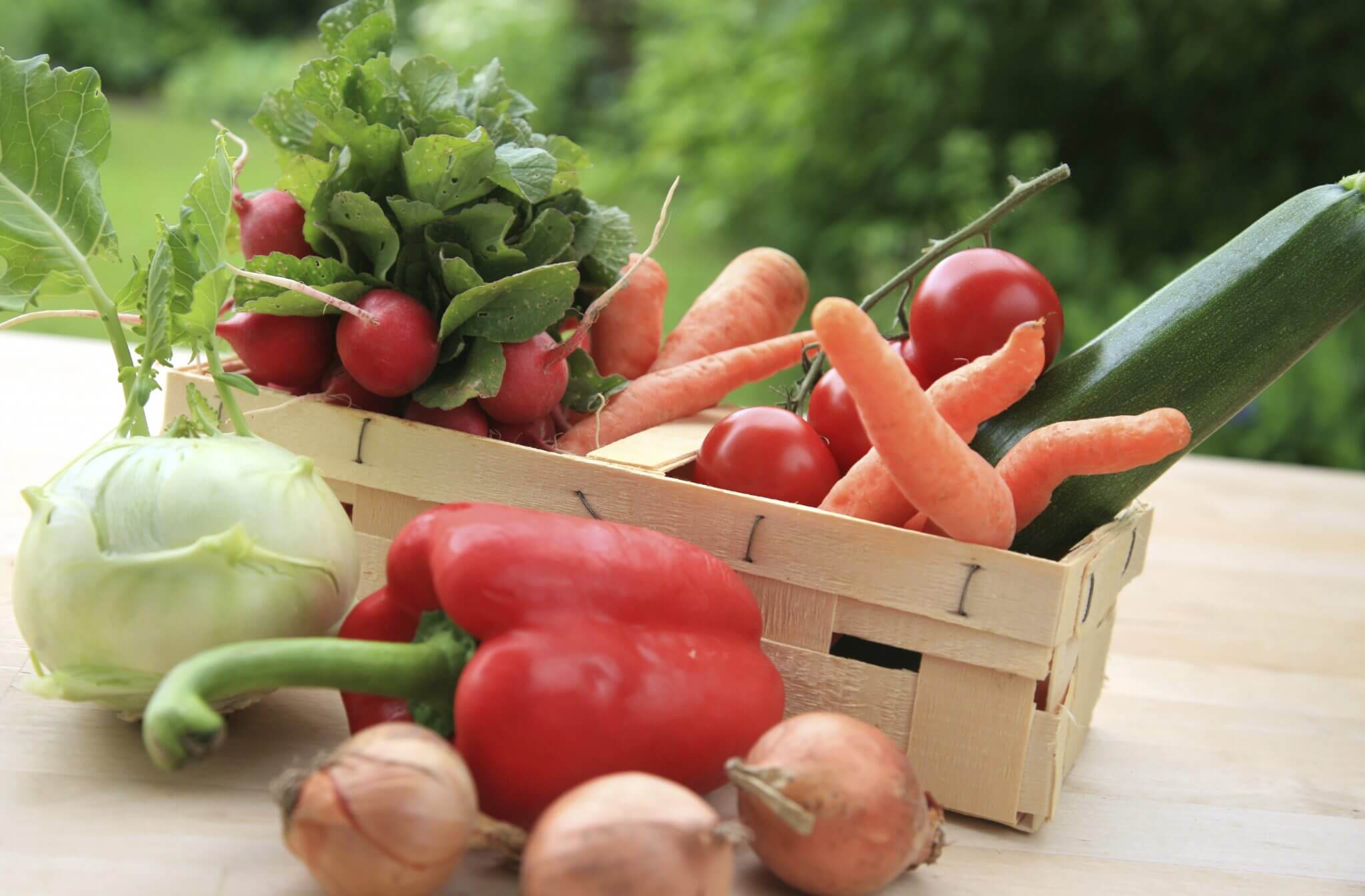 Home grown Vegetables in a basket
