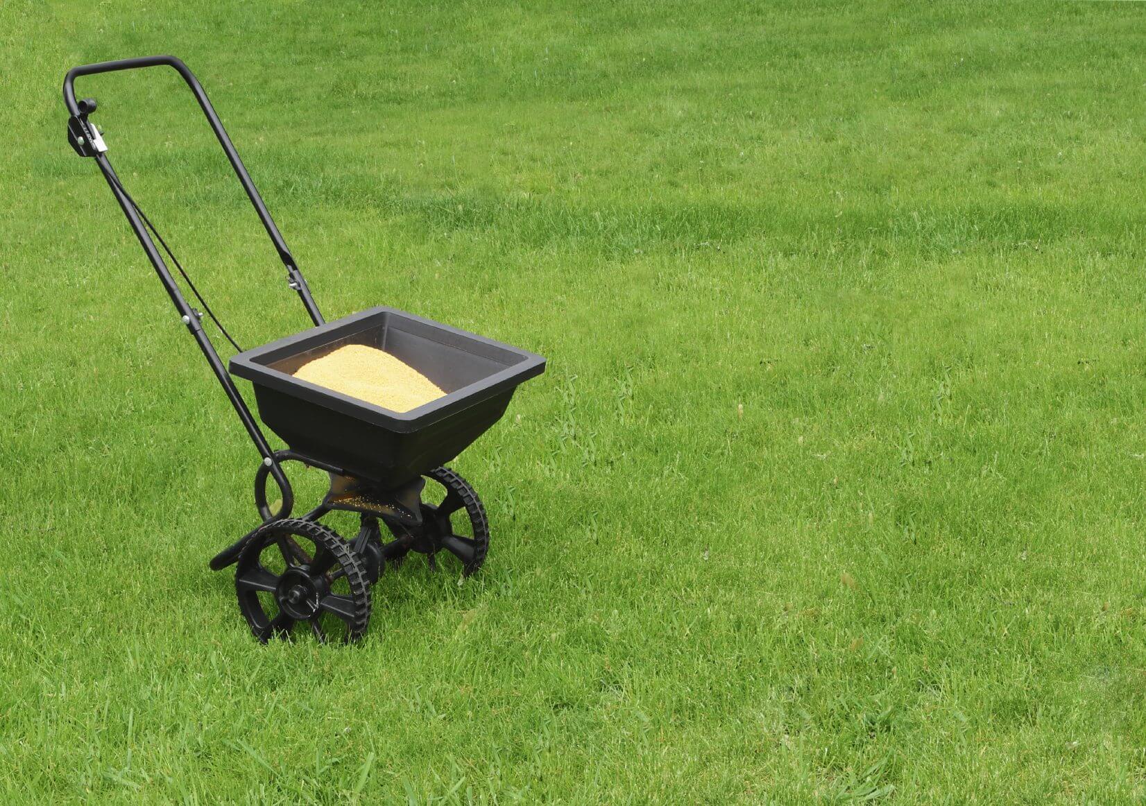 Fertilizing the lawn with a lawn fertilizer