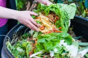 Composting Kitchen Scraps with Compost Creation tips